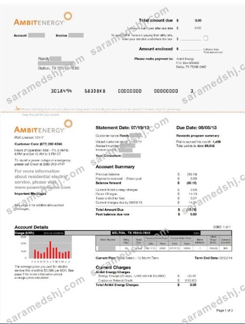 USA AMBIT ENERGY utility bill Word and PDF template